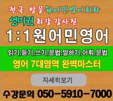 제 2외국어과외 1대1원어민영어회화