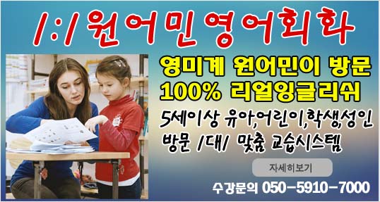 제 2외국어과외  1:1원어민영어회화